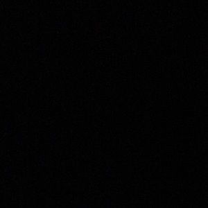 Meet your Posher, Nytwone